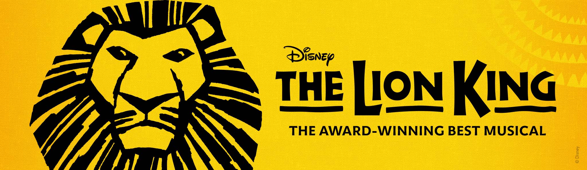 Disney THE LION KING The Award-Winning Best Musical